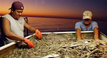 Pride and Joy 2_thumb.jpg